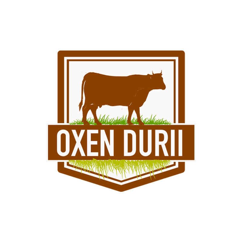 Oxen Durii